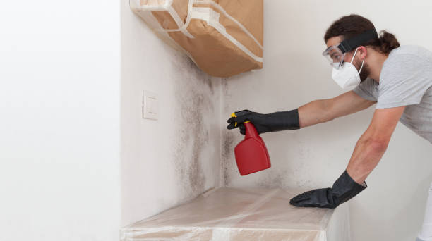 Professional Commercial Mold Remediation technician working in Portland, MI
