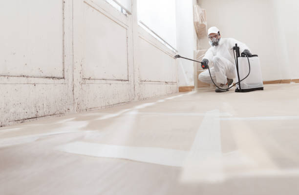 24/7 Emergency Commercial Mold Remediation experts in Portland, MI
