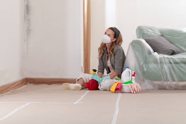 Reliable Commercial Mold Remediation contractor in Portland, MI by Mold Remediation HQ
